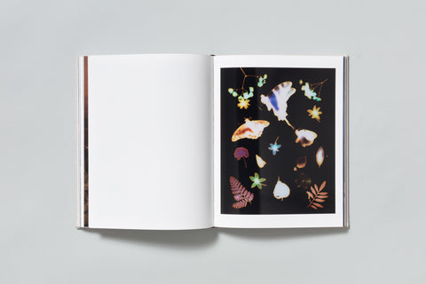 David Brandon Geeting - The Marble