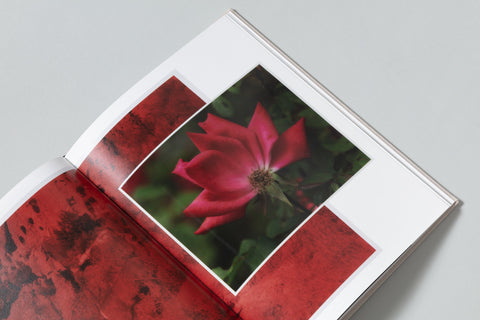 David Brandon Geeting - The Marble