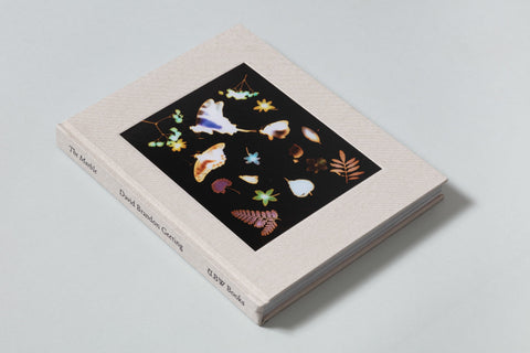 David Brandon Geeting - The Marble