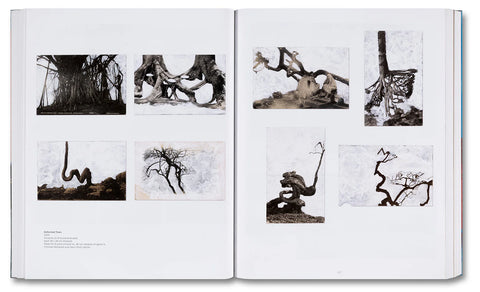 Tacita Dean - Base Matter and Uncommon Solvent: Drawings, Prints, Collages, and Objects 1988–2024