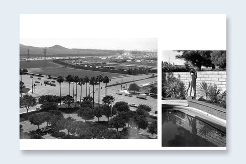 Ed Templeton & Deanna Templeton - Contemporary Suburbium (signed)