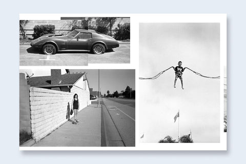 Ed Templeton & Deanna Templeton - Contemporary Suburbium (signed)