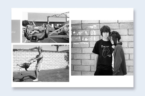 Ed Templeton & Deanna Templeton - Contemporary Suburbium (signed)