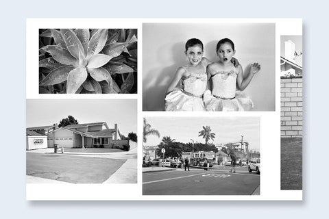 Ed Templeton & Deanna Templeton - Contemporary Suburbium (signed)