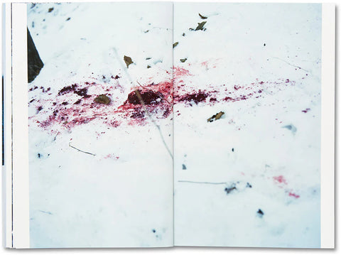 Takashi Homma - Trails (signed)