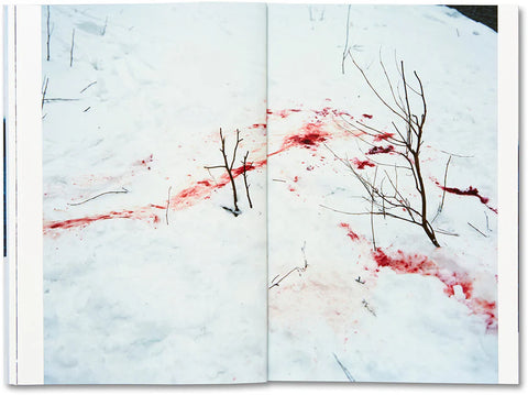 Takashi Homma - Trails (signed)