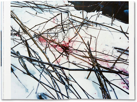 Takashi Homma - Trails (signed)