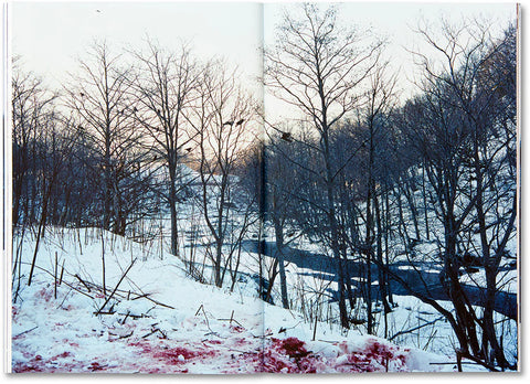 Takashi Homma - Trails (signed)