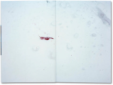 Takashi Homma - Trails (signed)