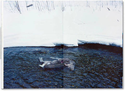 Takashi Homma - Trails (signed)