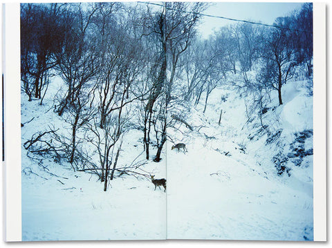 Takashi Homma - Trails (signed)