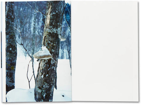 Takashi Homma - Trails (signed)