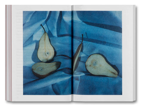 Olivier Richon - The Devouring Eye: Photography and the Mouth