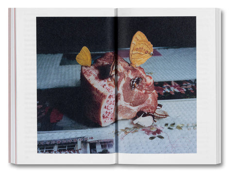 Olivier Richon - The Devouring Eye: Photography and the Mouth