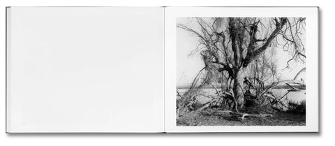 Mark Ruwedel - The Western Edge