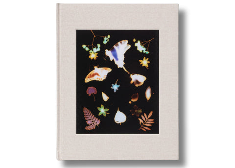 David Brandon Geeting - The Marble