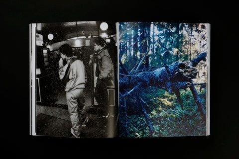 JH Engström - Dimma Brume Mist (signed)