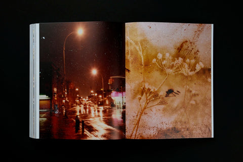 JH Engström - Dimma Brume Mist (signed)