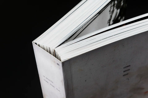 JH Engström - Dimma Brume Mist (signed)