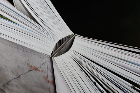 JH Engström - Dimma Brume Mist (signed)