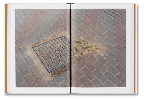 Kwan Queenie Li - Weeds: A Germinating Theory