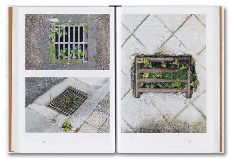 Kwan Queenie Li - Weeds: A Germinating Theory