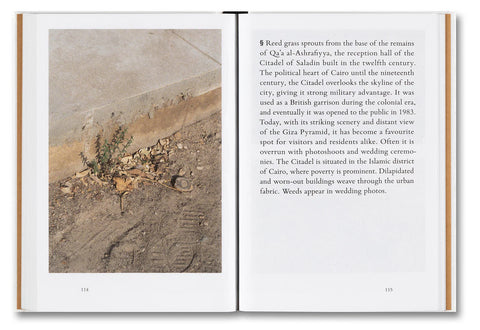 Kwan Queenie Li - Weeds: A Germinating Theory