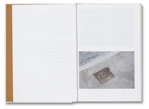 Kwan Queenie Li - Weeds: A Germinating Theory