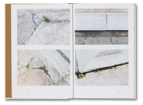 Kwan Queenie Li - Weeds: A Germinating Theory