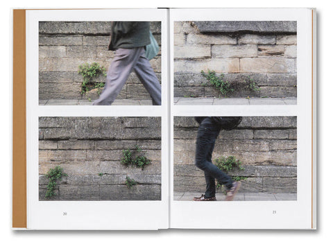 Kwan Queenie Li - Weeds: A Germinating Theory