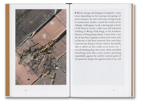 Kwan Queenie Li - Weeds: A Germinating Theory