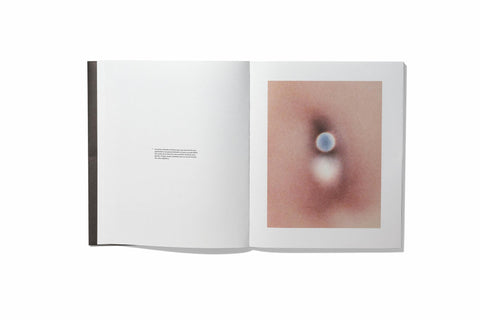 Rita Puig–Serra - Anatomy of an Oyster