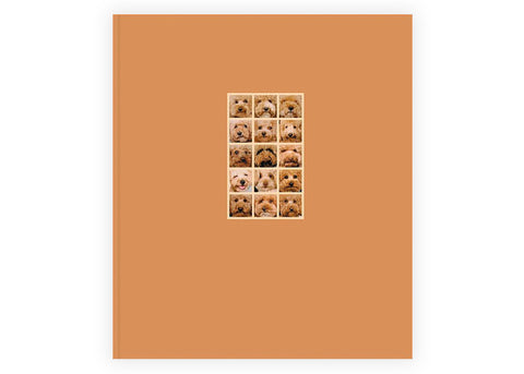 Laura Leal - Apricot Poodle