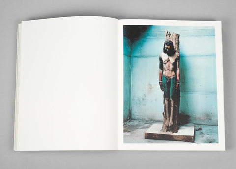 Bharat Sikka - Elephant in the Room