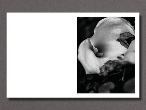 Brandon Ruffin - Migration Patterns