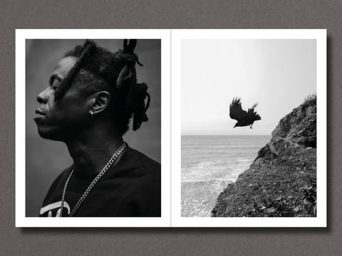 Brandon Ruffin - Migration Patterns