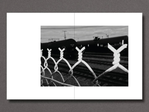 Brandon Ruffin - Migration Patterns