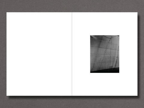 Brandon Ruffin - Migration Patterns