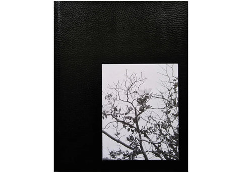 Brandon Ruffin - Migration Patterns