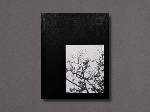 Brandon Ruffin - Migration Patterns