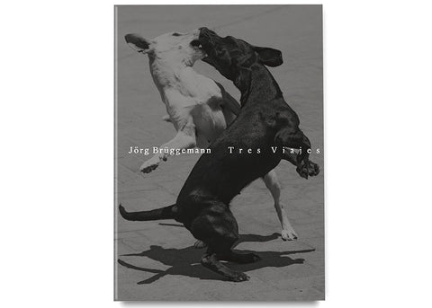 Jörg Brüggemann - Tres Viajes