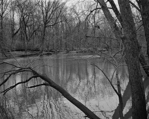 Tim Carpenter - Christmas Day, Bucks Pond Road (signed)