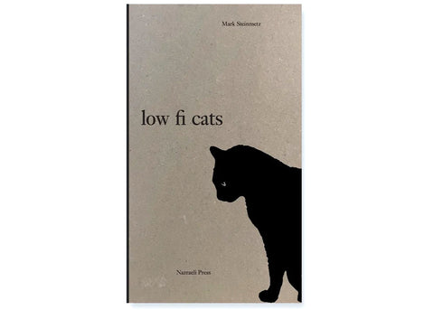 Mark Steinmetz - low fi cats
