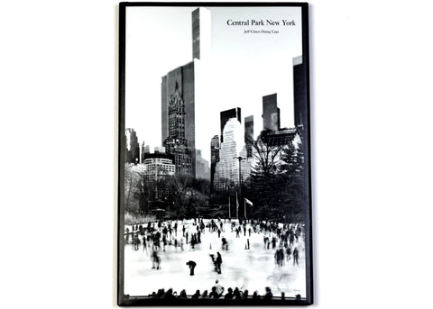 Jeff Chien-Hsing Liao - Central Park New York