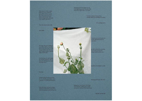 Thomas Duffield - Poppy Promises (signed)