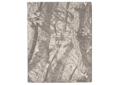 Dylan Hausthor - What the Rain Might Bring