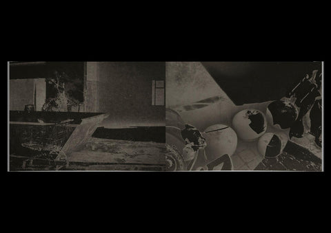 Freya Brooke Verona Copeland - Fang