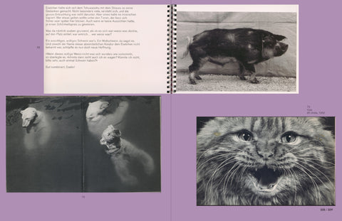 Anne Lacoste/Rose Durr - L is for Look - Children’s Photobooks