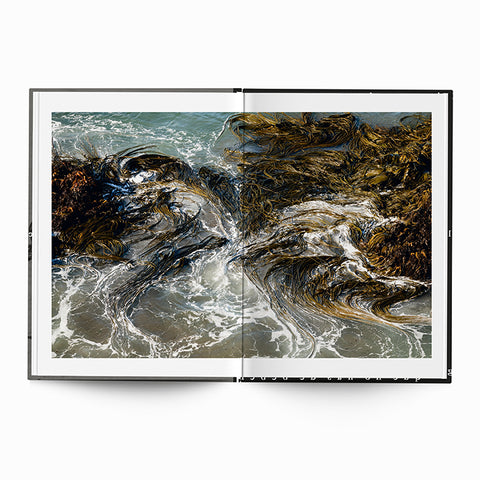 Jörg Brüggemann - Tres Viajes