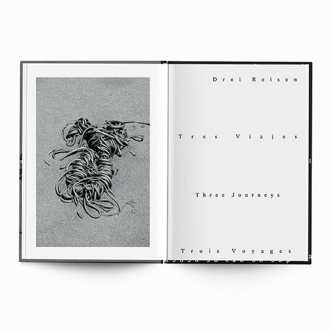 Jörg Brüggemann - Tres Viajes